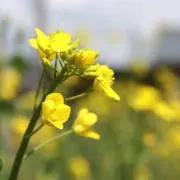 かずっしー☆断捨離中の画像