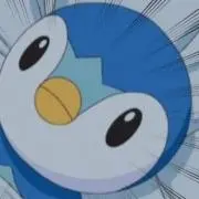 ミャーの画像
