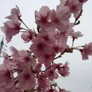 ♡TMAYA♡の画像