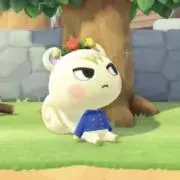 もちの画像