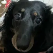 みっちゃん