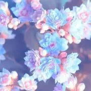 ユノ