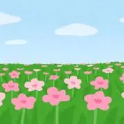 ルルの画像