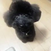かーちゃんの画像