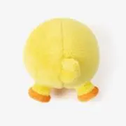 caoの画像