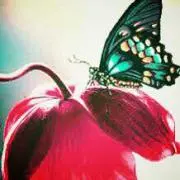 grape_paa(ღ✪ｖ✪)プロフ必読