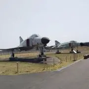 えりんぎの画像