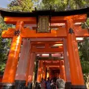 Kの画像