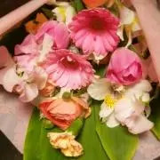 Nananaの画像