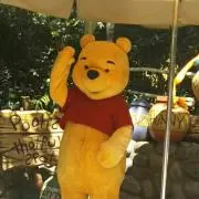 Pちゃんの画像