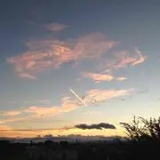 モカの画像