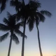 mahalo☻プロフ必読＊の画像