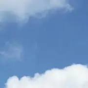 Koy