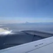 rioの画像