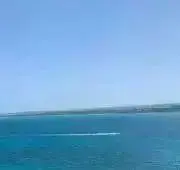 ☺︎プー☺︎