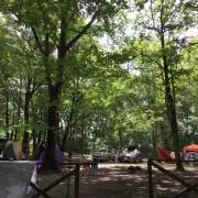 shimaの画像