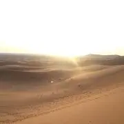 りんごの画像