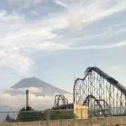 ひよこの画像