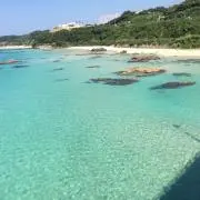 sho_muの画像