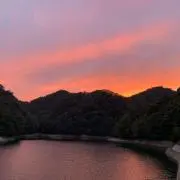 トミコンの画像