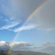 かぴの画像