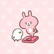 ぽむの画像