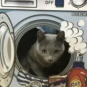 LION珈琲の画像
