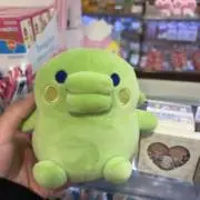ヨンチョンヨンファンの画像