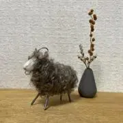 sanchanの画像