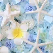 Kの画像