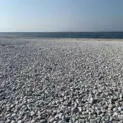 HSの画像