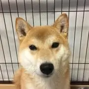 くうみんの画像