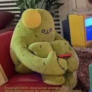 サボテン　まとめて安くなりますの画像