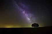 サクヤ 【プロフ閲覧必須】の画像