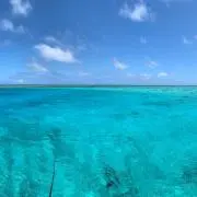 にこさきの画像