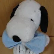 ykykykの画像