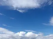 ゆの画像