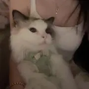 ぱぴ子の画像
