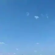 桜の画像