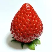moccoの画像