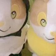 まうの画像