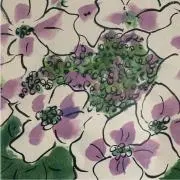 アミの画像