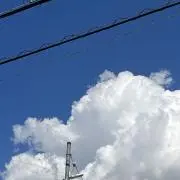 マカロニ