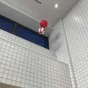 鮫の画像