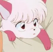 とうふの画像