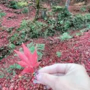 私の断捨離販売者の画像