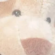 みかんの画像