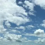 ももも