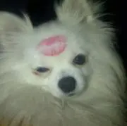jajaの画像