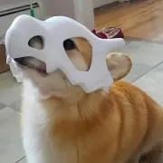 まゆぴ